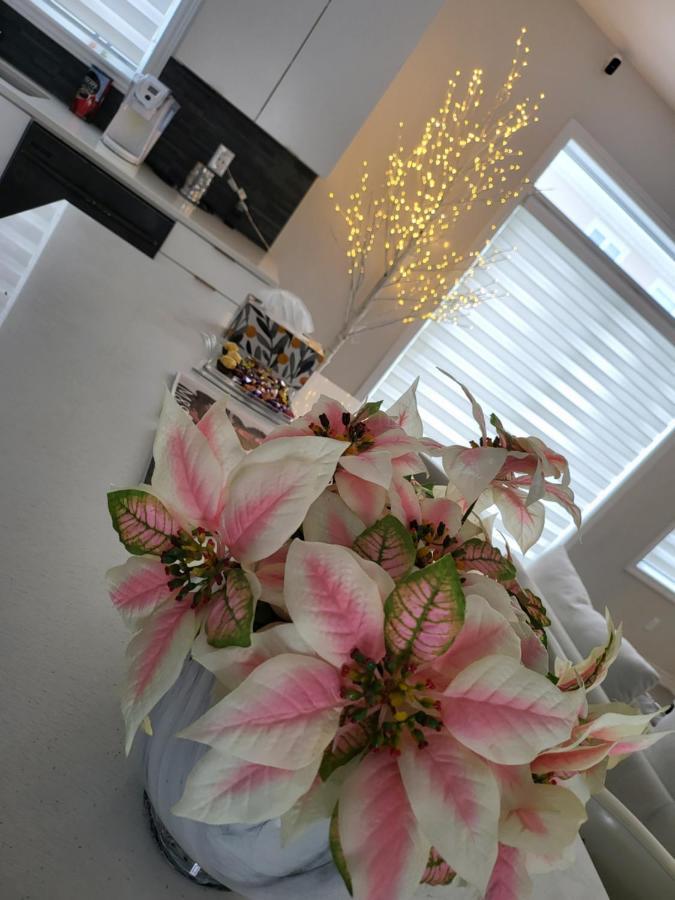 Bliss-Home Ottawa Exterior foto